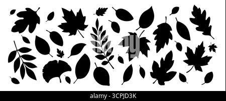 Eine Reihe von Silhouetten von Herbstblättern in verschiedenen Formen in Schwarz auf weißem Hintergrund. Stock Vektor