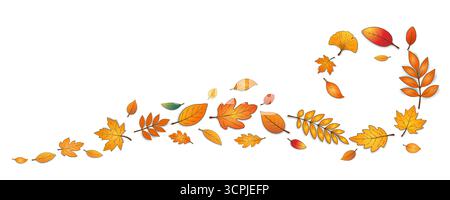 Herbstblätter mit einem Schatten in Form einer Spirale werden auf weißem Hintergrund hervorgehoben. Stock Vektor