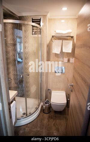 Dieses stilvolle Badezimmer verfügt über eine verglaste Dusche, eine moderne Toilette und elegante Fliesenarbeiten, die eine saubere und einladende Atmosphäre für Gäste schaffen Stockfoto