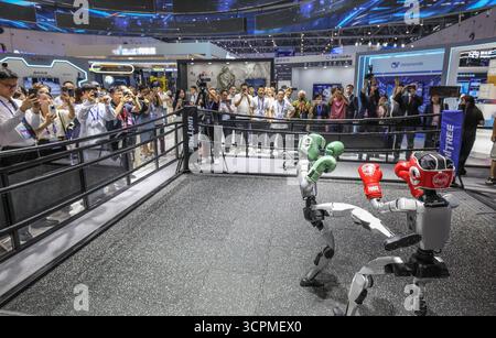 Peking, Chinas Provinz Zhejiang. September 2025. Ein humanoider Roboterboxwettbewerb findet auf der 4. Global Digital Trade Expo in Hangzhou, ostchinesischer Provinz Zhejiang, am 25. September 2025 statt. Die 4. Global Digital Trade Expo, eine Veranstaltung zur Förderung des digitalen Handels und der industriellen Zusammenarbeit zwischen Partnern, fand am Donnerstag in Hangzhou statt, an der mehr als 1.800 Aussteller teilnahmen. Die gesamte Ausstellungsfläche umfasst 155.000 Quadratmeter. Quelle: Xu Yu/Xinhua/Alamy Live News Stockfoto