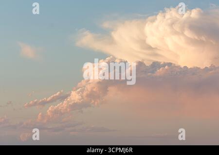 Flauschige Cumuluswolken vor dem Hintergrund eines blauen Himmels bei Sonnenuntergang. Die Wolken weisen eine Vielzahl von Texturen auf und sind mit rosa und getönten Tönen getönt Stockfoto