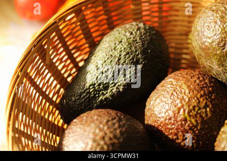 Frische Avocados im Korb. Ökologische grüne Obsternte. Natürliche gesunde Zutat für Kochen und Diät. Tropisches exotisches Produkt mit Textur. Stockfoto