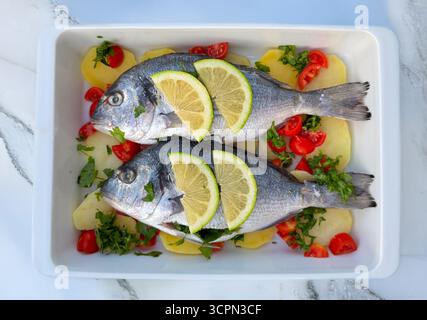 Roher Seebrassen-Fisch mit Zitronenscheiben, Kartoffeln, Tomaten und Petersilie im Backblech Stockfoto