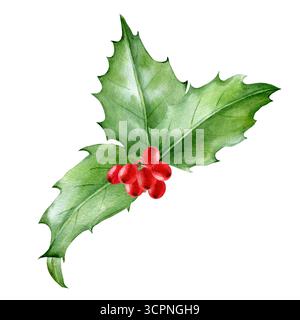 weihnachtsbaum Pflanzen mit roten Beeren, grünen Blättern. Isolierte Illustration mit Wasserfarben. Zusammensetzung für Neujahrsgrußkarten und -Verpackungen. Stockfoto