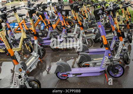 25. August 2025, Moskau, Russland. Mehrere Elektroroller parken ordentlich auf einem nassen Gehweg nach einem Regenschauer und sind hell Stockfoto
