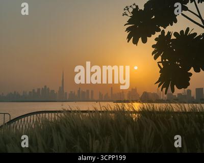 Dubai Skyline bei Sonnenuntergang mit Baumsilhouette und Gras im Vordergrund, Blick vom Dubai Creek Hafen Stockfoto