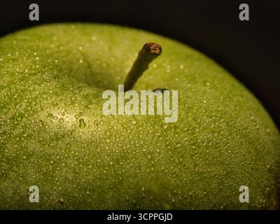 Makro Green Apple Water Drops Detail – Extreme Nahaufnahme eines feuchten, lebendigen grünen Apfels mit Kondensationstropfen auf der Haut. Konzentrieren Sie sich auf Frische Stockfoto
