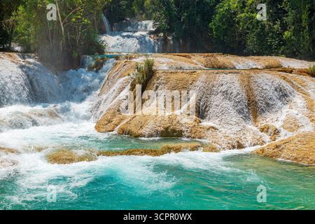 Agua Azul Kaskaden und Wasserfälle, Palenque, Chiapas, Mexiko. Stockfoto