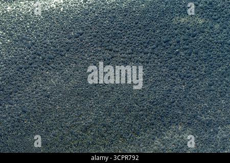 Natürliche abstrakte Textur von Wassertröpfchen, die auf Glasoberfläche kondensiert werden. Nahaufnahme von Tautropfen, die einen einzigartigen Hintergrund für Design, Natur und Umwelt schaffen Stockfoto