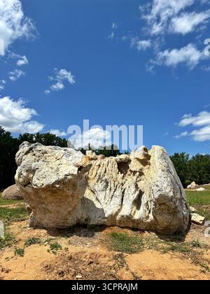Steingarten mit dekorativen Baum- und Steinformationen in einer malerischen Landschaft, Outdoor Park in der Ukraine Stockfoto