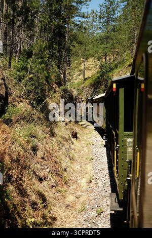 Ein alter grüner Zug fährt durch einen schmalen, felsigen Pass, umgeben von steilen Klippen und Wäldern in Mokra Gora. Sargan Eight - ein beliebter Tourist Stockfoto