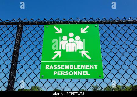 Weiße Pfeile, die auf eine Gruppe von 4 Personen in Umrissform zeigen, die den Sammelbereich auf einem grünen fluoreszierenden Piktogramm-Schild am Maschendrahtzaun anzeigen. Stockfoto