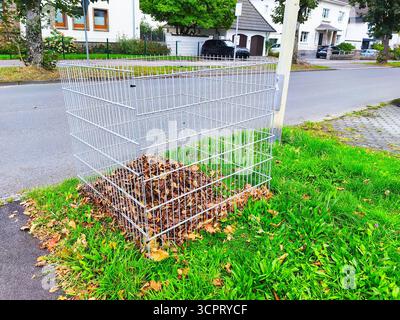 Vierkantblatt-Sammelgitter auf dem Boden in Deutschland Stockfoto