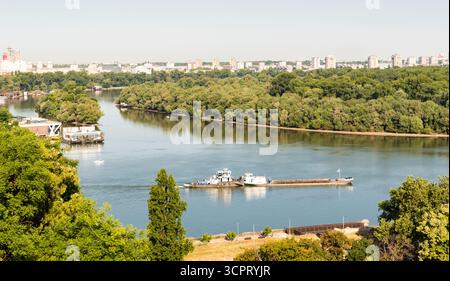 Zusammenfluss von Save und Donau Stockfoto