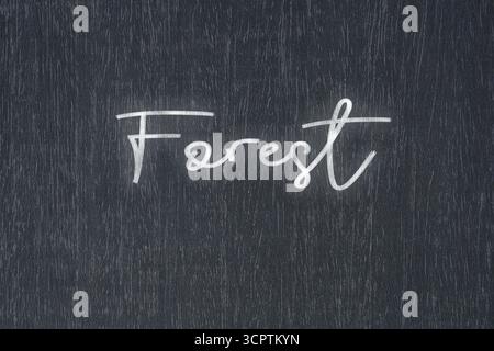 Eine Tafel mit einer handgeschriebenen Kreidebotschaft mit der Aufschrift Forest, ein starkes Symbol für Geschäftserfolg und Motivation in Bildung und Produktion Stockfoto