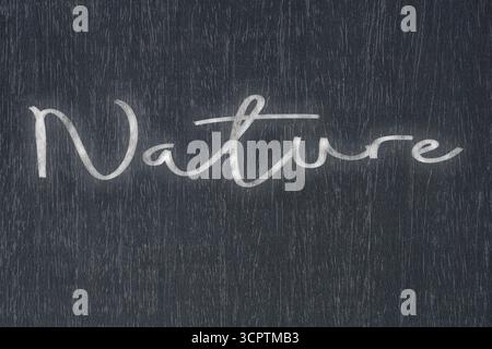 Eine Tafel mit einer handgeschriebenen Kreidebotschaft, die die Natur sagt, ein starkes Symbol für Geschäftserfolg und Motivation in Bildung und Produktion Stockfoto