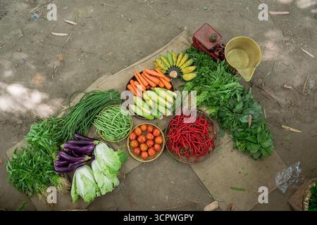 Wunderschönes frisches Bio-Gemüse auf dem lokalen und lebhaften Marktstand Stockfoto