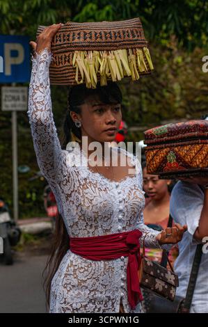Wunderschöne balinesische Frau mit Angeboten und traditioneller Kleidung während des Galungan. Ubud, Bali, Indonesien. Kredit: Kraig lieb Stockfoto