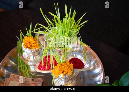 Tika und Jamara wurden in ein silbernes Utensilien mit Gerstensprossen, Geld und Früchten für die Vijaya Dashami Zeremonie während des Dashain Festivals in Nepal gelegt. Stockfoto