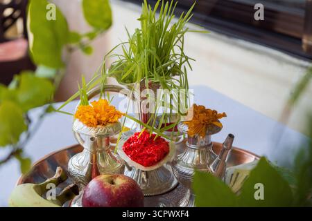 Tika und Jamara wurden in ein silbernes Utensilien mit Gerstensprossen, Geld und Früchten für die Vijaya Dashami Zeremonie während des Dashain Festivals in Nepal gelegt. Stockfoto