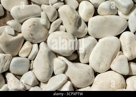 Bei einer Nahaufnahme aus dem Hochwinkel zeigt sich eine dichte Sammlung glatter, heller Steine, die den Rahmen füllen. Die Zusammensetzung ist natürlich und organisch. Stockfoto