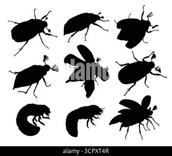 Silhouetten von Maikäfer und Larven. Stock Vektor