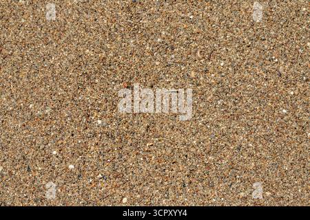 Nahaufnahme von braunem Sand, bestehend aus kleinen Kieseln und Granulaten, die den Rahmen füllen, mit einem kleinen Zweig in der Mitte. Stockfoto