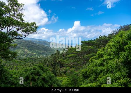 Üppiger tropischer Wald über den Bergen mit Blick auf die Bucht von Atuona, Hiva OA, Französisch-Polynesien. Eine atemberaubende Landschaft mit grünen Hügeln, Palmen und Th Stockfoto