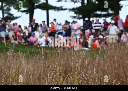 Farmingdale, USA. September 2025. Golffans säumen das 14. Fairway während des Wettkampfes am zweiten Tag des Ryder Cup 2025 auf dem Bethpage Black Course, Farmingdale, NY, 27. September 2025. (Foto: Anthony Behar/SipaUSA) Credit: SIPA USA/Alamy Live News Stockfoto
