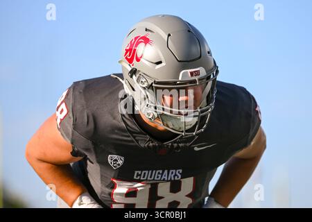 Fort Collins, CO, USA. September 2025. Washington State Defensive End Malaki Ta'ase (98) während des College-Football-Spiels zwischen den Washington State Cougars und den Colorado State Rams im Sonny Lubick Field im Canvas Stadium in Fort Collins, CO. (Foto: Kevin Langley/Sports South Media). Quelle: csm/Alamy Live News Stockfoto