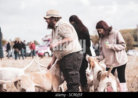 Alte Traktoren und Bauern beim Pflügen in West Sussex in den South Downs. Stockfoto