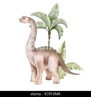 Aquarellillustration eines Brachiosaurus mit tropischen Palmblättern. Sanfte Töne unterstreichen den hohen Körper und den verspielten Look. Perfekt für die Einrichtung von Kindern Stockfoto