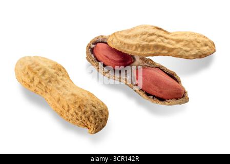 Ganze und geöffnete Erdnuss- oder Erdnussschote, isoliert auf weiß, mit Scherkopf Stockfoto