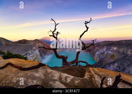 Wunderschöner Blick auf den Kawah Ijen Vulkankrater mit Bäumen und See, Ost-Java, Indonesien. Stockfoto