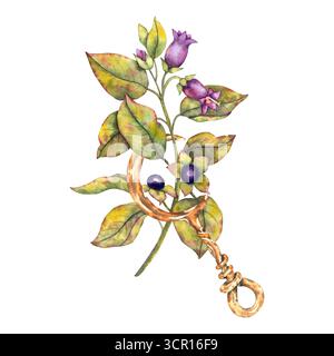 Aquarellillustration tödlicher Nachtschatten Atropa Belladonna mit violetten Beeren und Blumen kombiniert mit rostiger Mondsichel. Esoterisches botanisches Motiv für Verpackungstattoos, mystisches Branding. Stockfoto