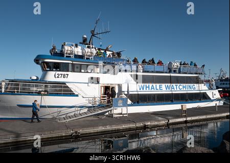 Der Alte Hafen von Reykjavík – Boote zur Walbeobachtung, Cafés und das Maritime Museum in der Nähe von Harpa an der Uferpromenade im Stadtzentrum von Island Stockfoto