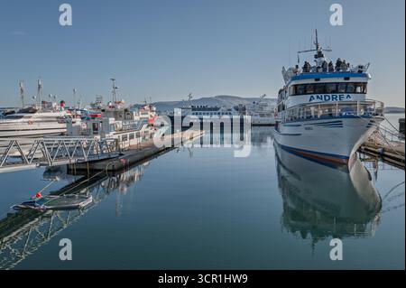 Der Alte Hafen von Reykjavík – Boote zur Walbeobachtung, Cafés und das Maritime Museum in der Nähe von Harpa an der Uferpromenade im Stadtzentrum von Island Stockfoto