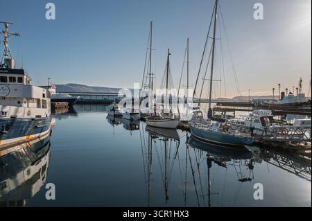 Der Alte Hafen von Reykjavík – Boote zur Walbeobachtung, Cafés und das Maritime Museum in der Nähe von Harpa an der Uferpromenade im Stadtzentrum von Island Stockfoto