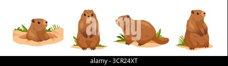 Set mit niedlichen Mahnschweinen. Murmeltiere, die aus dem Erdloch schauen, und Nagetiere, die im Gras sitzen. Wilde Tiere. Design Für Die Feier Des Groundhog Day. Cartoon Stock Vektor