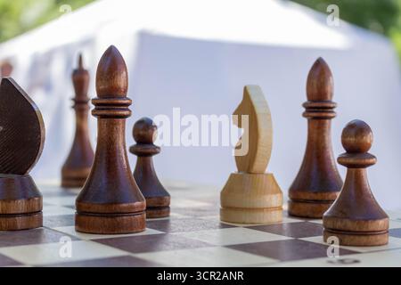 Detaillierte Ansicht der klassischen Schachfiguren, die für Strategiespiele angeordnet sind und mit Tageslicht Intellekt, Wettkampf und Freizeitaktivität symbolisieren Stockfoto