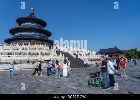 Peking, China - 14. September 2025 : Touristen erkunden den majestätischen Tempel des Himmels, ein altes chinesisches architektonisches Wunder, unter einem klaren blauen Himmel. Stockfoto