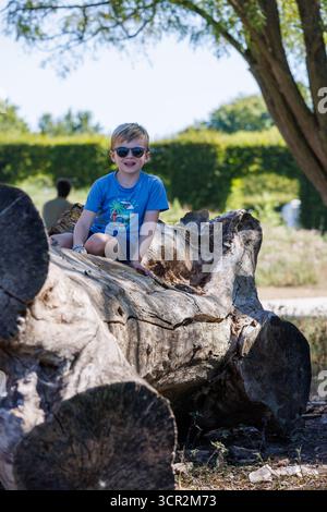 Junge, der auf einem großen gefallenen Baumstamm im Park sitzt Stockfoto