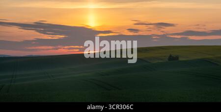 Sonnenaufgang über einem hügeligen Feld aus jungen Getreiden Stockfoto