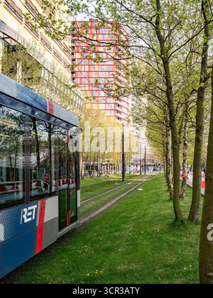Elektrische Straßenbahn durch das Zentrum von Rotterdam Stockfoto