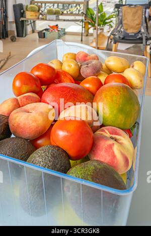 Optimale Lagerung von Gemüse und Obst in einer feuchtigkeitsregulierten Kühlschublade, die frische Tomaten, Kartoffeln, rote Paprika und Zubehör enthält Stockfoto