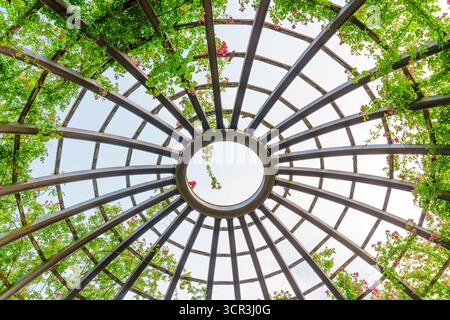 Komplexe runde Metallstruktur mit leuchtend grünen Reben und Blumen, die vor einem klaren Himmel stehen und eine einladende und ruhige Atmosphäre schaffen. Stockfoto
