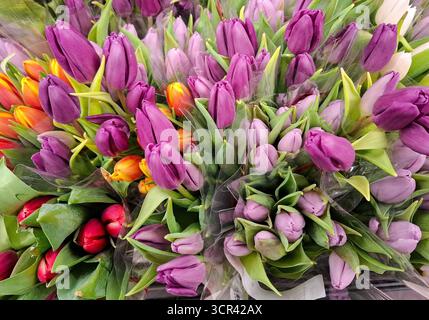 Tulpensträuße in verschiedenen Farben Stockfoto