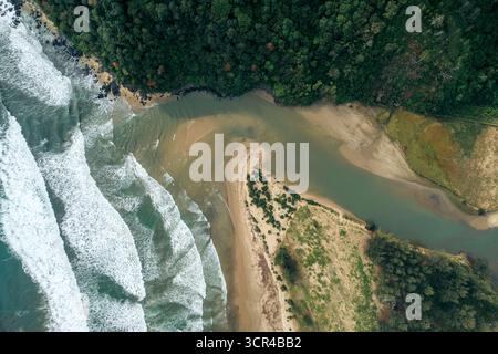 Blick aus der Vogelperspektive auf einen Fluss, der auf das Meer trifft, umgeben von üppig grünen Wäldern und Sandstrand. Aceh Jaya Regency, Aceh, Sumatra, Indonesien Stockfoto