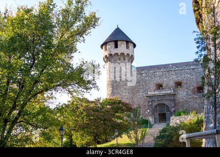 Detaillierte Ansicht des Turmeingangs und der befestigten Steinmauern des Budaer Schlosses in Budapest, Ungarn. Die mittelalterliche Architektur unterstreicht die Stärke der Stockfoto