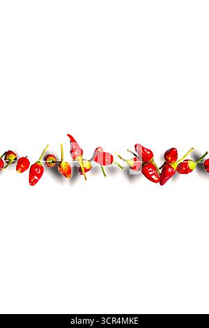 Kleine scharfe getrocknete rote Capsicum Chili, isoliert auf weißem Hintergrund, Nahaufnahme Stockfoto
